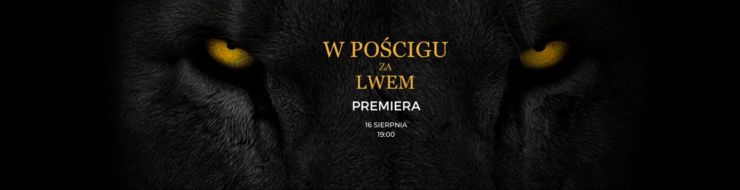 W pościgu za lwem